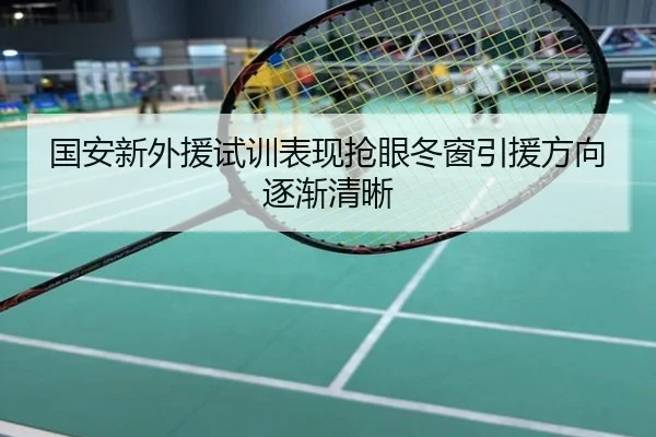 国安新外援试训表现抢眼冬窗引援方向逐渐清晰